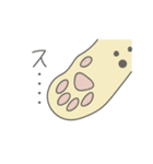 日常会話で使える世界のねこ科スタンプ（個別スタンプ：19）