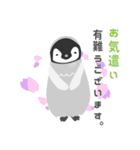 小さなペンギンさん【敬語】（個別スタンプ：3）
