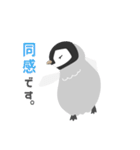 小さなペンギンさん【敬語】（個別スタンプ：18）