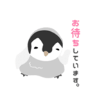 小さなペンギンさん【敬語】（個別スタンプ：36）