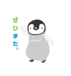 小さなペンギンさん【敬語】（個別スタンプ：37）