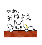 よく出る！ねこと挨拶。（個別スタンプ：8）