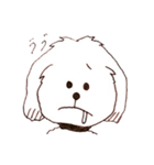 バルさんの毎日（個別スタンプ：11）