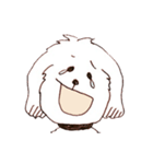 バルさんの毎日（個別スタンプ：40）