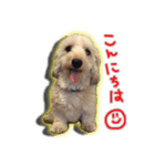 TOY（個別スタンプ：1）