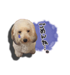 TOY（個別スタンプ：7）