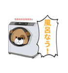 スーパーコロちゃんスタンプ（個別スタンプ：10）