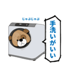 スーパーコロちゃんスタンプ（個別スタンプ：11）