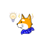 まめしば コタローくん（個別スタンプ：1）