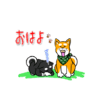 まめしば コタローくん（個別スタンプ：2）
