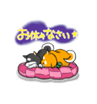まめしば コタローくん（個別スタンプ：8）