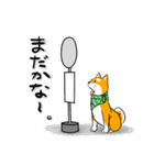 まめしば コタローくん（個別スタンプ：10）