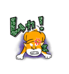 まめしば コタローくん（個別スタンプ：12）
