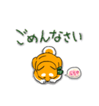 まめしば コタローくん（個別スタンプ：13）