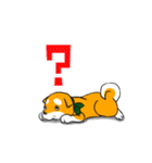 まめしば コタローくん（個別スタンプ：15）