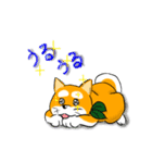 まめしば コタローくん（個別スタンプ：21）