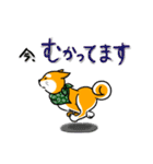 まめしば コタローくん（個別スタンプ：24）
