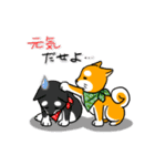 まめしば コタローくん（個別スタンプ：27）