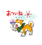 まめしば コタローくん（個別スタンプ：30）