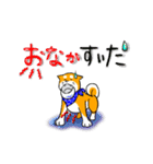 まめしば コタローくん（個別スタンプ：33）