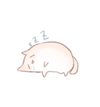 cotton candy cat with rabbit（個別スタンプ：16）