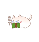 cotton candy cat with rabbit（個別スタンプ：33）