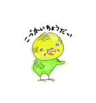 ナニワのインコちゃん（個別スタンプ：18）