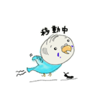 ナニワのインコちゃん（個別スタンプ：33）