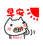 【台湾語】【中国語】挨拶スタンプ ネコ（個別スタンプ：1）