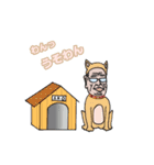 ハゲおやじスタンプ（個別スタンプ：16）