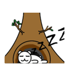 bear~bear~（個別スタンプ：16）