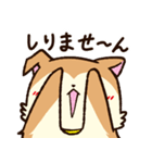 柴犬ふうちゃん（個別スタンプ：12）