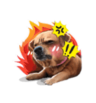 Dogs Leela（個別スタンプ：6）