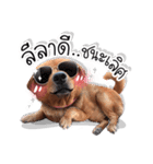 Dogs Leela（個別スタンプ：10）