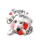 Dogs Leela（個別スタンプ：13）