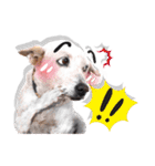 Dogs Leela（個別スタンプ：18）