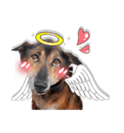 Dogs Leela（個別スタンプ：19）