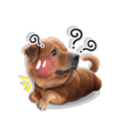 Dogs Leela（個別スタンプ：20）