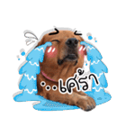 Dogs Leela（個別スタンプ：26）