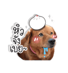Dogs Leela（個別スタンプ：27）
