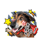 Dogs Leela（個別スタンプ：28）
