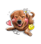 Dogs Leela（個別スタンプ：32）