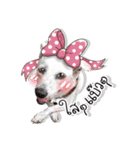Dogs Leela（個別スタンプ：34）