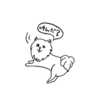 大好きポメちゃん（個別スタンプ：35）