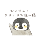肯定的な優しいペンギン☆絵本風（個別スタンプ：12）