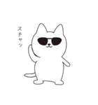 ねこぱっち2（個別スタンプ：19）