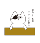 ねこぱっち2（個別スタンプ：26）