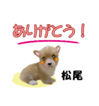 松尾さん用の名前スタンプ・子犬イラスト（個別スタンプ：3）