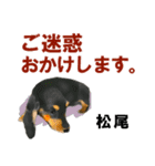 松尾さん用の名前スタンプ・子犬イラスト（個別スタンプ：9）