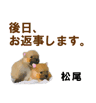 松尾さん用の名前スタンプ・子犬イラスト（個別スタンプ：10）